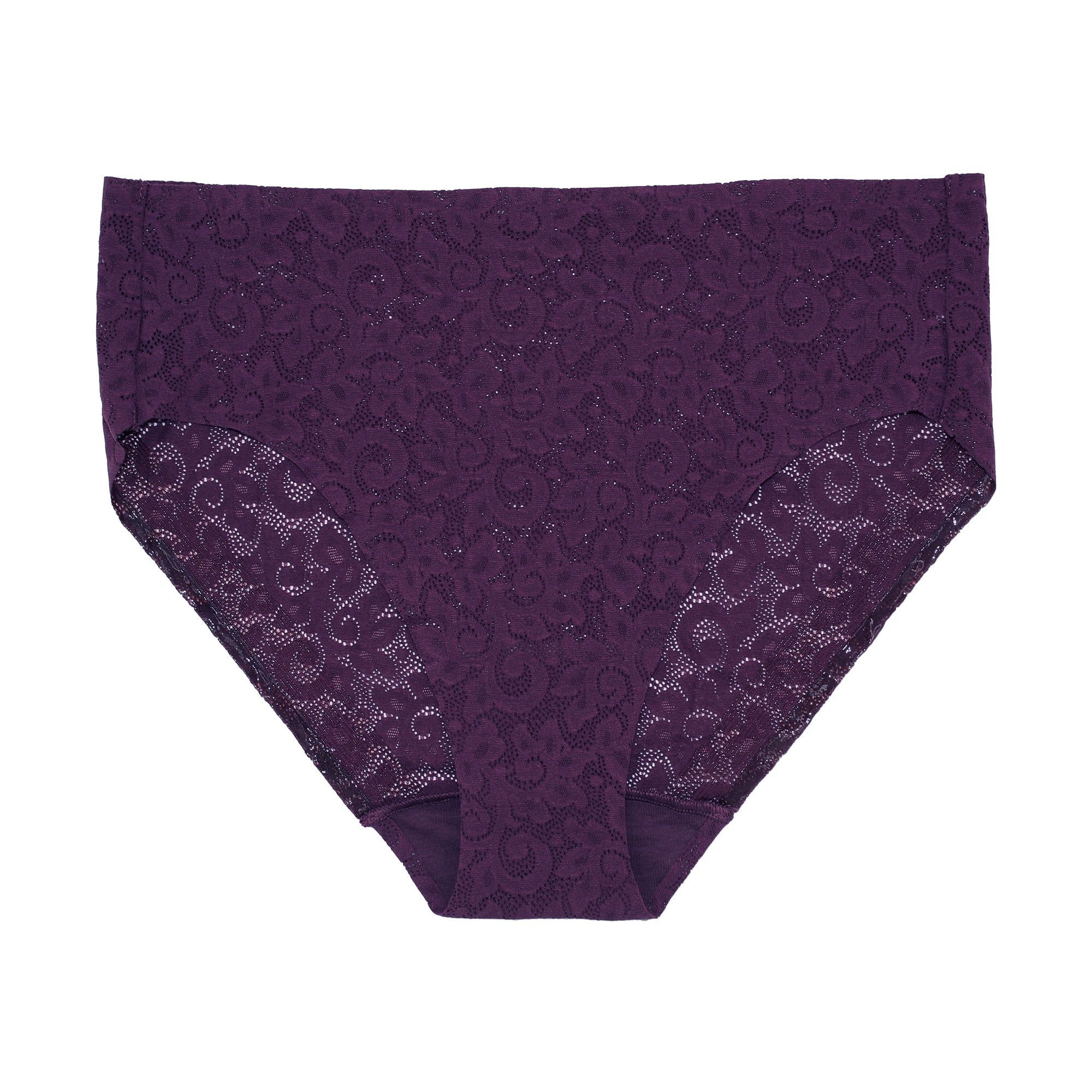 TC Edge® All-Over Lace High-Cut Brief - Cupid Intimates