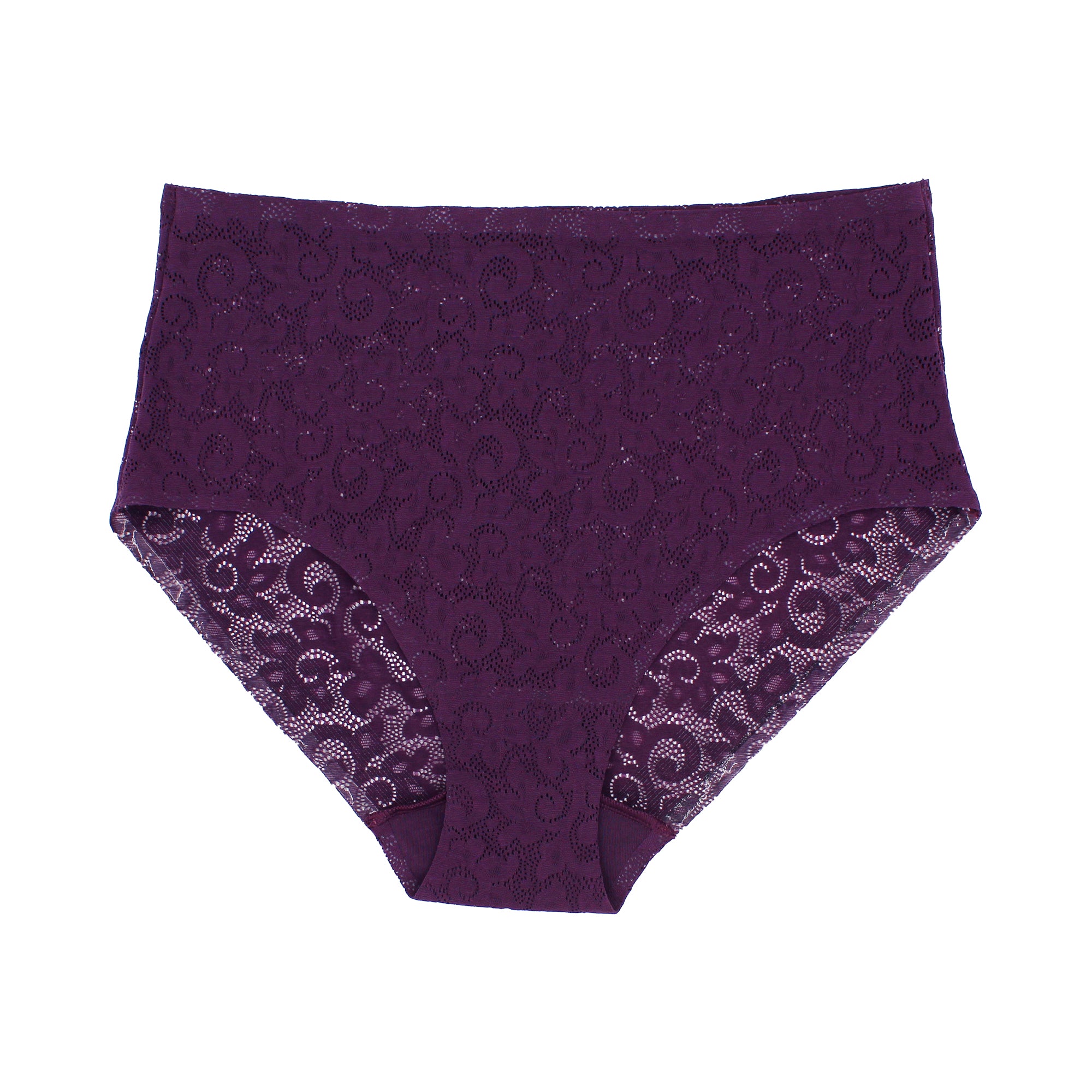 TC Edge® All-Over Lace Brief - Cupid Intimates