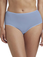 a woman wearing a blue brief panty