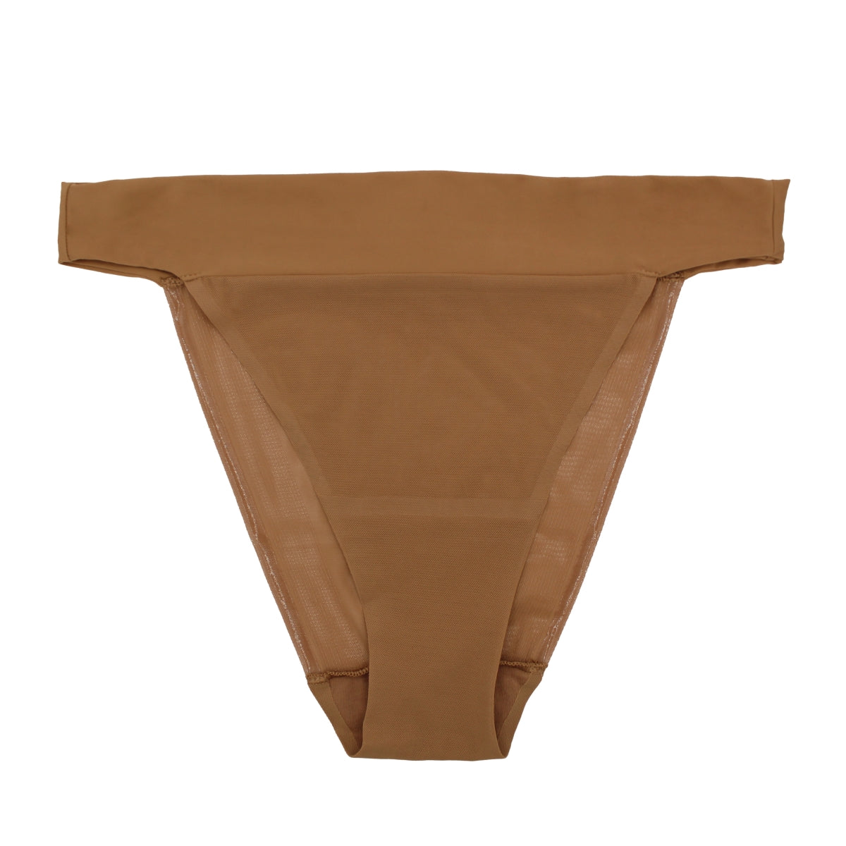 a tan sheer tanga panty