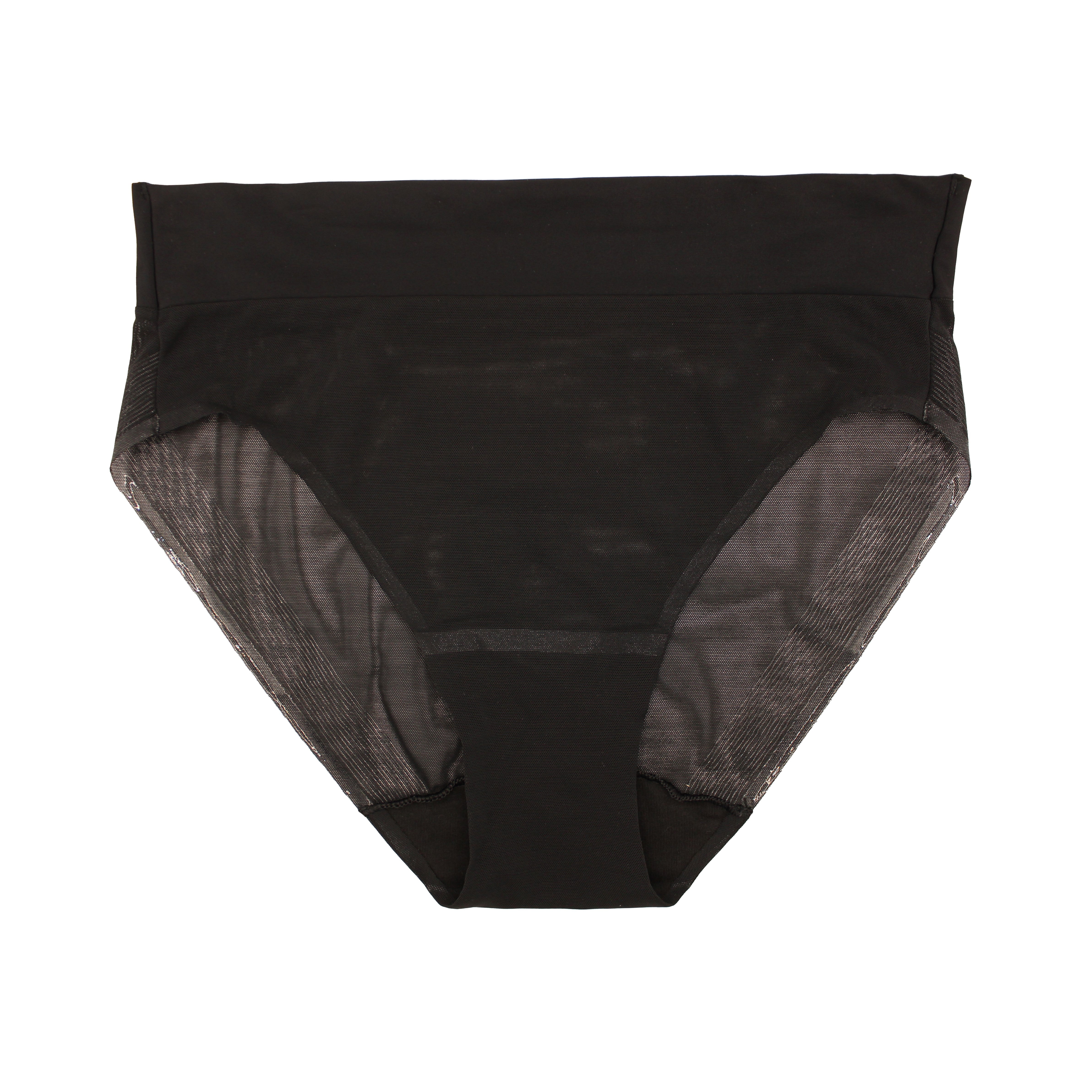 a black sheer high cut brief panty